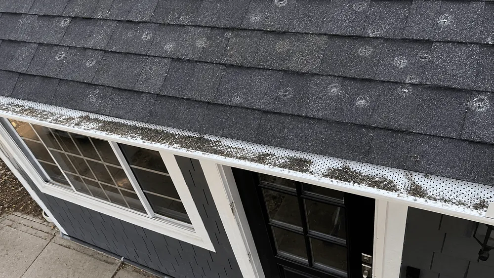 Close-up of bruised asphalt shingles and granule loss in a gutter after a Grain Valley hailstorm